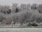 IMG_0970_1_1.JPG