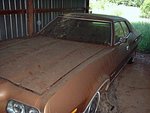 901d35e0.jpg
