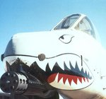 A-10-3.JPG