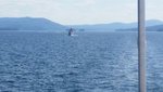20160727_151838.jpg