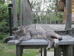 IMG_0307.jpg
