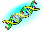 0511-1011-0113-5346_DNA_Double_Helix_clipart_image.jpg