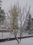 First snow 3.jpg