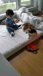 1475841175130271950.gif