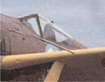 Fw Crop1.jpg
