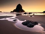 Boardman State Park, near Brookings-Harbor, Oregon.jpg