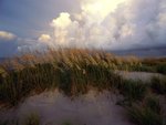Cape Hattaras National Seashore, North Carolina.jpg