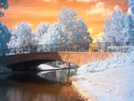 winter3.jpg