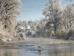 winter11.jpg