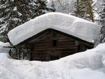 winter12.jpg