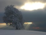 winter13.jpg