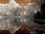 winter18.jpg
