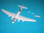 condor 004.jpg