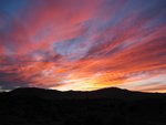 mr0107_013_medium_414.jpg