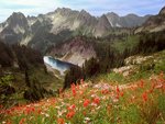 Cliff Lake and the Tatoosh Range, Mount Rainier National Park, Washington.jpg