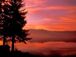 Living Waters, Hood Canal, Washington.jpg