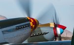 Dueling Blades P-51 Mustang, Yak P-40 Warhawk-2353-2.jpg