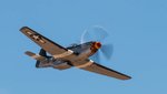 P-51 Wee Willy-983.jpg