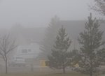 Morning fog.jpg