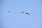 DSC_1526.JPG