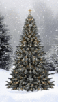 tumblr_o0ednq40o61qat5pio1_400.gif