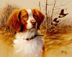 0_33653_d8c1551d_orig.jpg