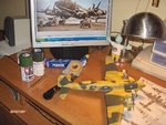 condor 012.jpg