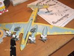 condor 013.jpg