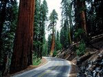 Wallpapers - Road Trips - 02.jpg