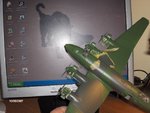 condor 019.jpg