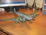 condor 026.jpg