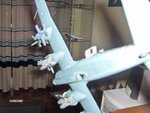 condor 028.jpg