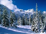 Alpine Lakes Wilderness, Washington.jpg