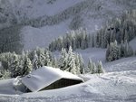 Bavarian Alps, Ostallgäu, Bavaria, Germany.jpg