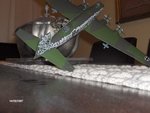 condor 032.jpg
