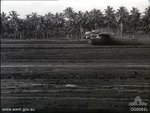 100sqnRAAF30.jpg