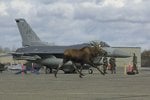 Moose2.jpg