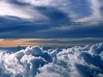 Wild Blue Yonder.jpg