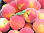fruits_003.jpg