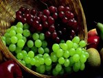fruits_004.jpg