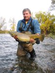 Brown Trout biggin.jpg