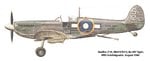 Seafire LF III.jpg