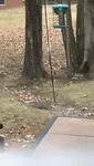 1482170169162250622.gif