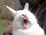 Happy easter Kids.jpg
