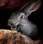 Happy Easter.jpg
