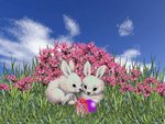 Happy_Easter-006.jpg