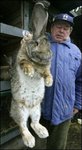 Happy Easter Rabbit Caught.jpg