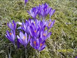 100_1648.JPG