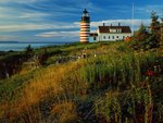 Sunrise at Quoddy Head Lighthouse, Lubec, Maine.jpg