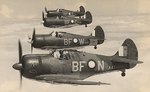 5sqnRAAF3.jpg